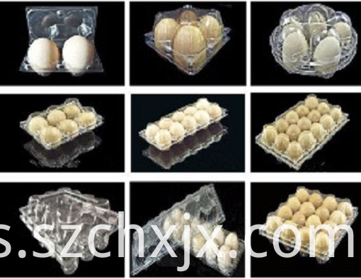 Moldeado y muestras Molding and Samples
